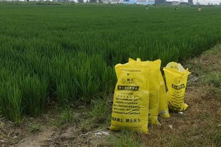 磷肥氮肥尿素复合肥的区别