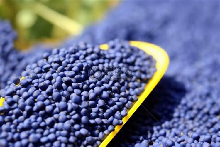 氮肥损失途径有哪些？