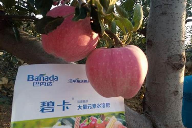 柑桔在什么时期使用海状元水溶肥为好