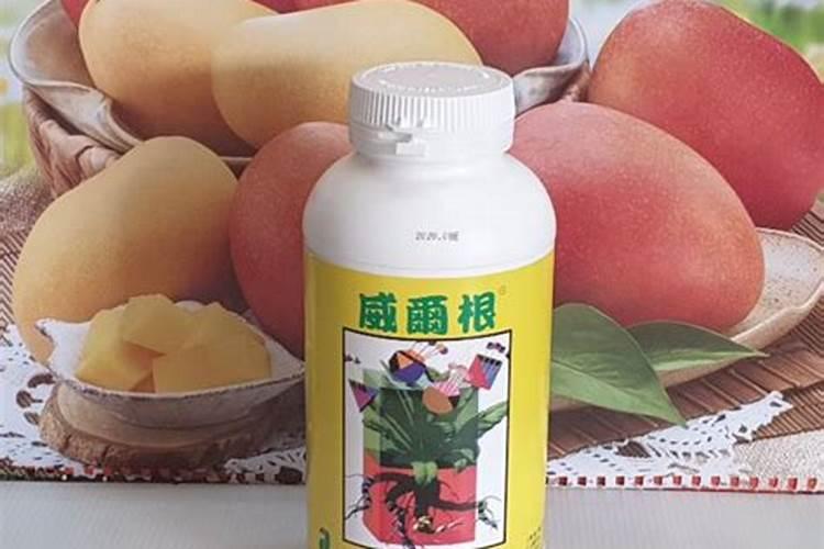 氨基酸叶面肥什么时间使用