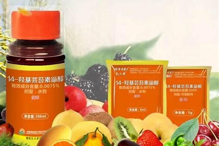 桂花树可以施复合肥吗