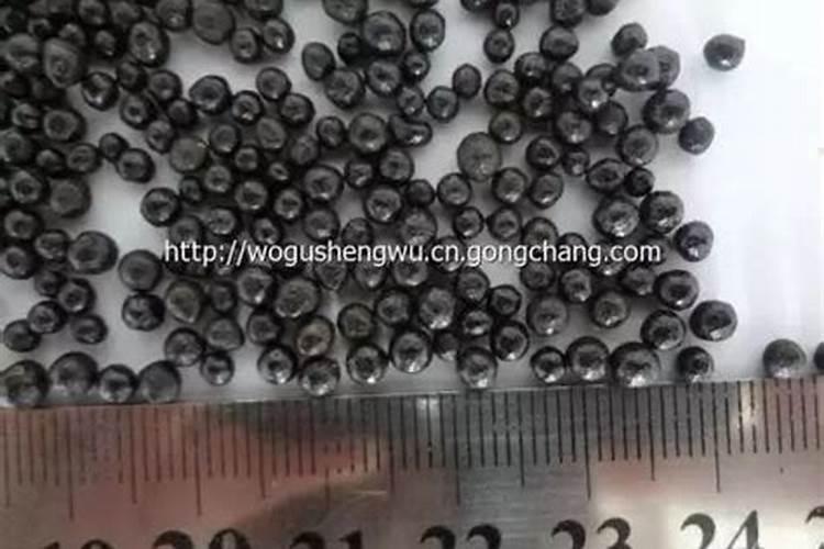 铵态氮肥有什么化学性质