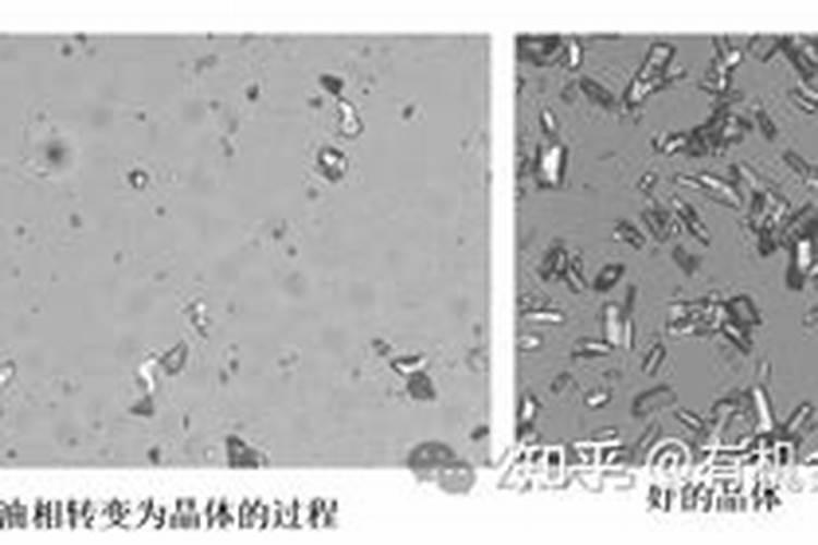 怎样防止柑橘裂果