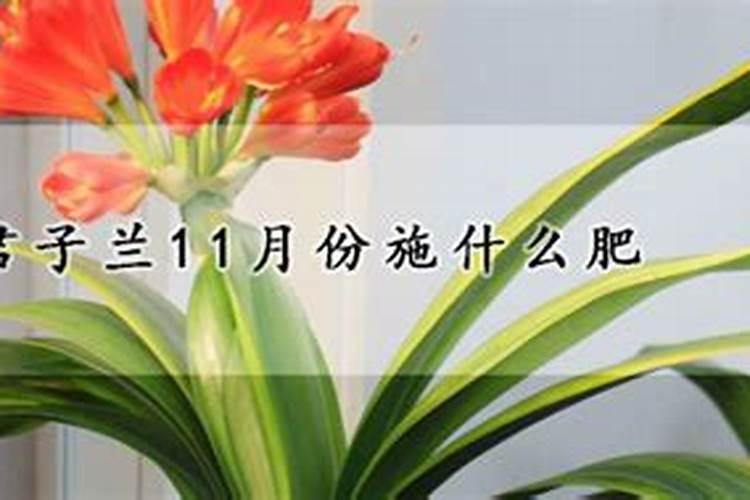 矿源黄腐酸钾叶面喷施怎么用？