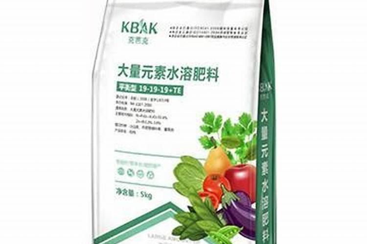 鱼肉类的蛋白质是多少？