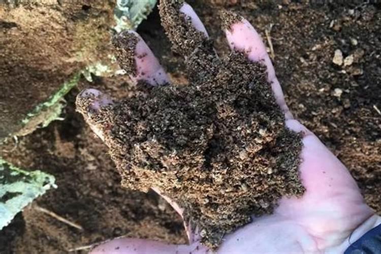 什么是磷肥 磷肥的作用