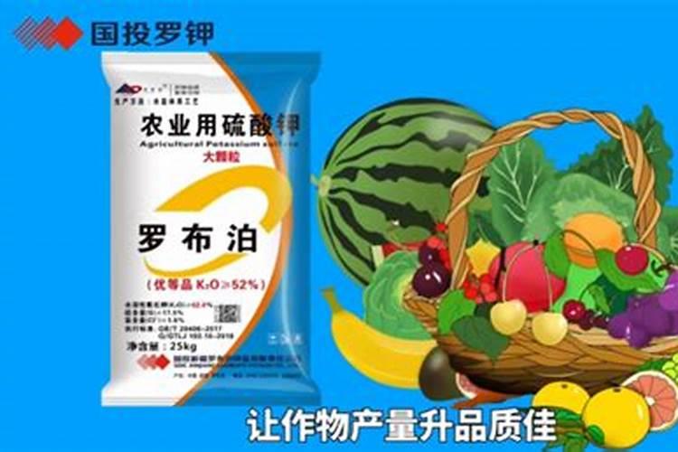 果树膨果肥要高钾吗