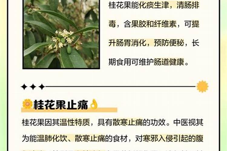 瓜子皮能不能做枕头有什么好处