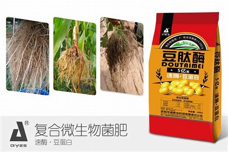 颗粒硼跟水溶化后能浇西瓜吗？