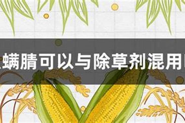 硼在西瓜什么时候补