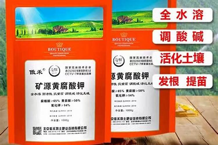 棕榈和椰棕哪个好