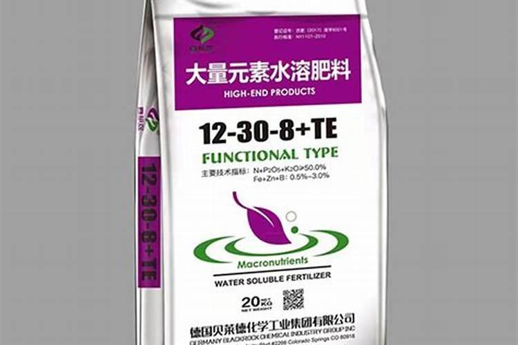 枯树叶埋土里多久腐熟