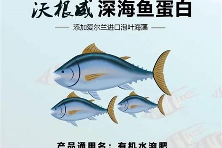 新长出的龟背竹叶子怎么软塌塌的？