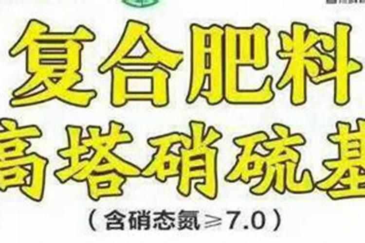 黑提葡萄的种植技术有哪些呢？