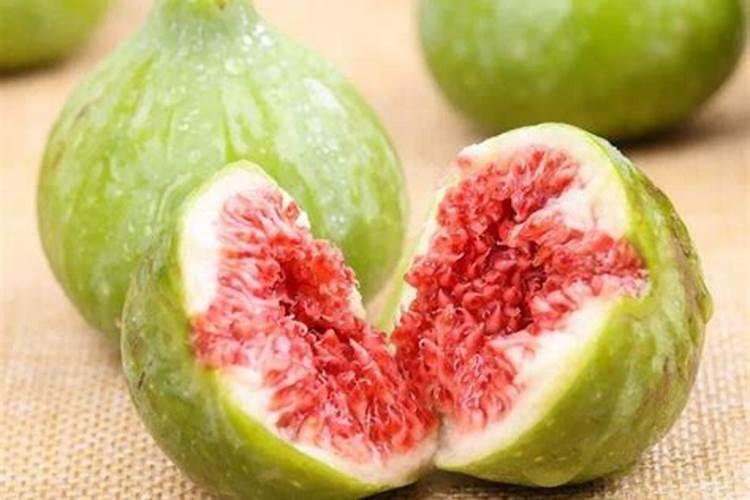 怎么给无花果施肥最好