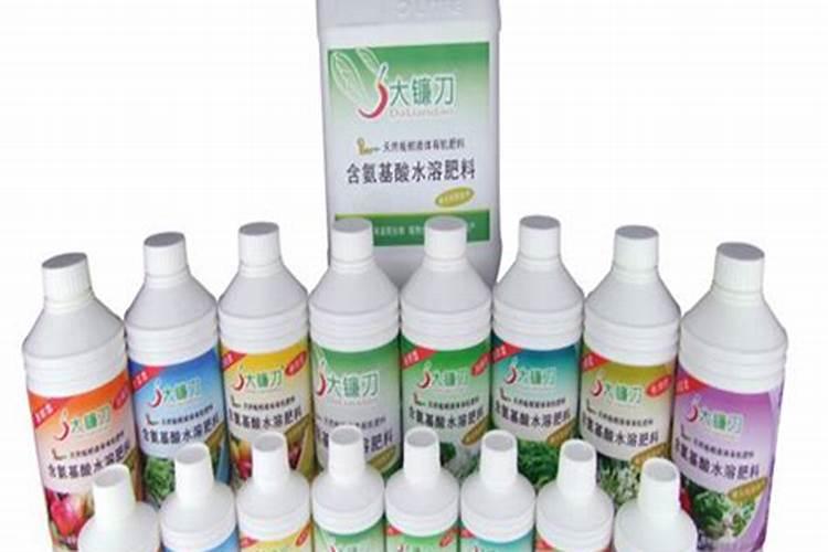 西洋菜种植方法