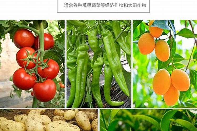 无机肥料有哪些 有机肥料和无机肥料的区别