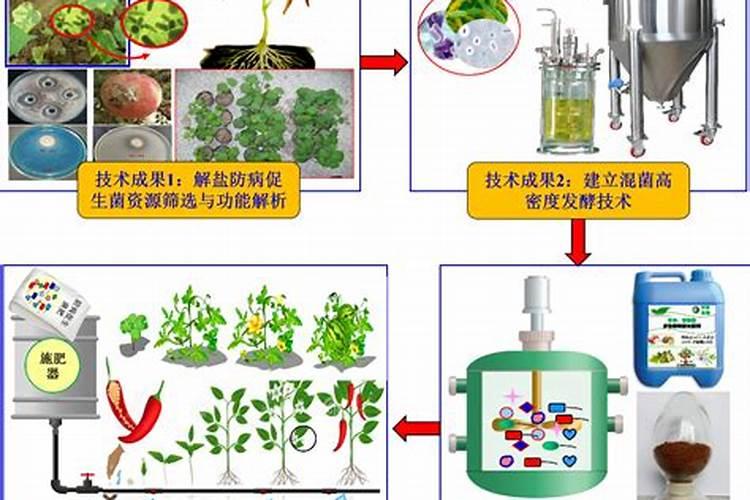 芸苔素内酯和复硝酚钠哪个好(两者有什么区别)
