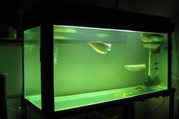 作为鹰潭人应该知道什么？