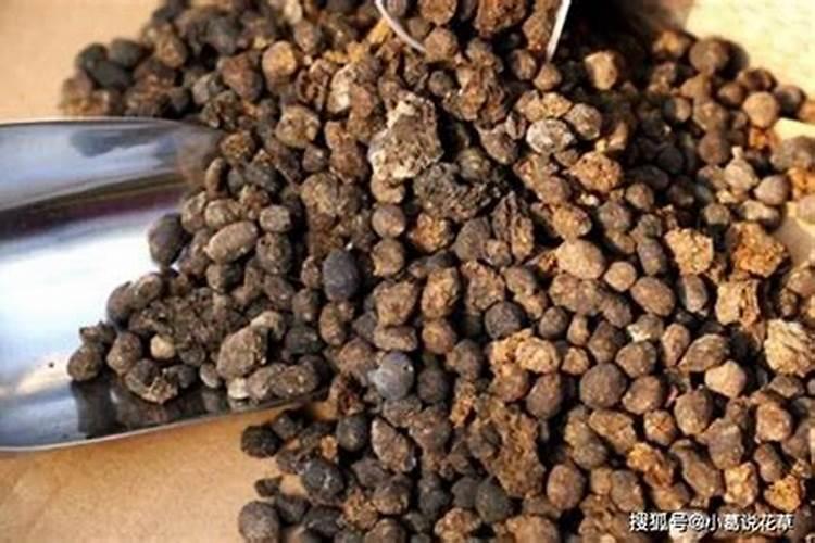 鸡粪属于氮肥还是磷肥