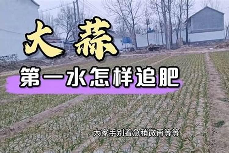 葡萄施硫酸镁肥硫酸钾肥多长时间受益