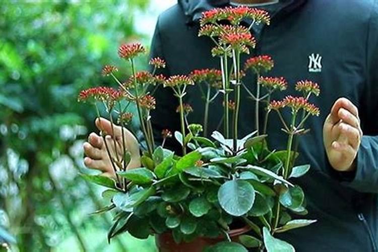 重庆三禾金辉生物工程有限公司怎么样？