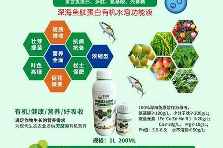 防止葡萄落果有哪些措施？