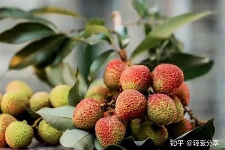 钾肥磷肥氮肥分别有什么作用