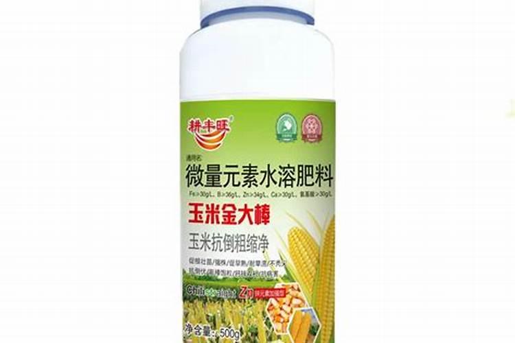 玉米几叶打控旺最好