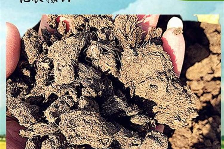 种土豆用什么肥料好 种土豆施什么肥高产
