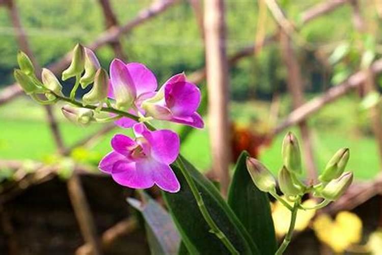 纯净水为什么加硫酸镁氯化钾？有害吗？