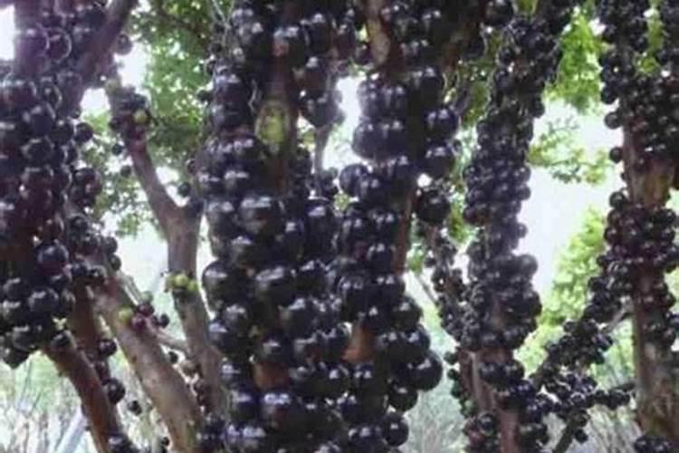 氮肥生产的特点