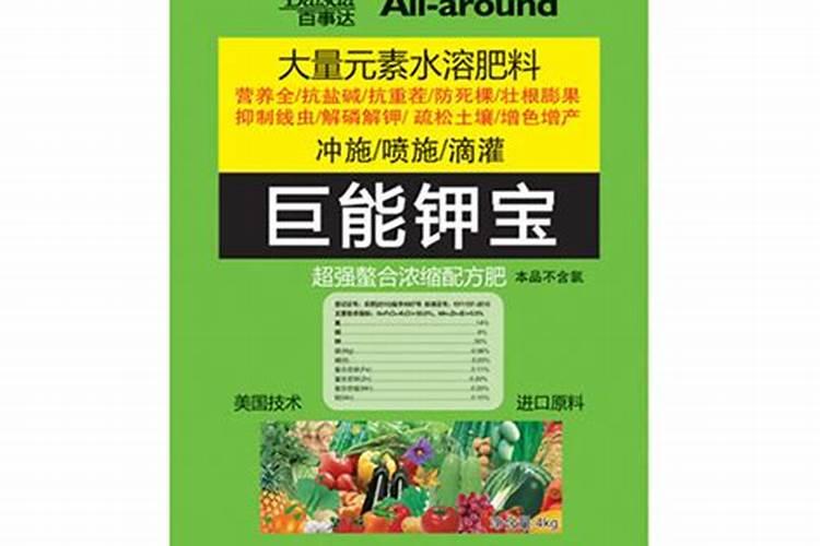 种玉米用什么肥料最好