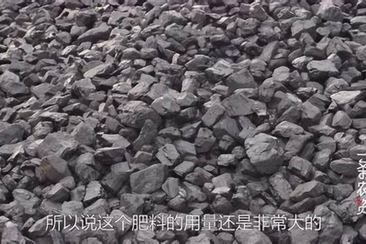 腐殖酸和腐植酸有什么不同