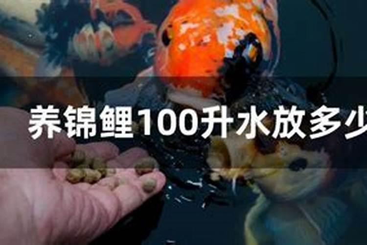 小型热带鱼一般怎么喂养？