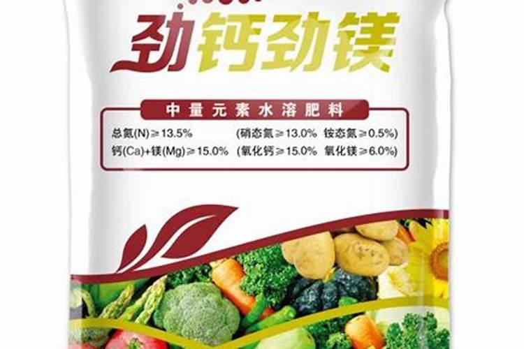 秋季偷驴用什么饵钓鲤鱼最好