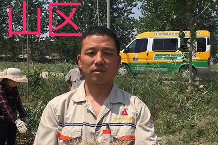 种大蒜用什么肥料最好了