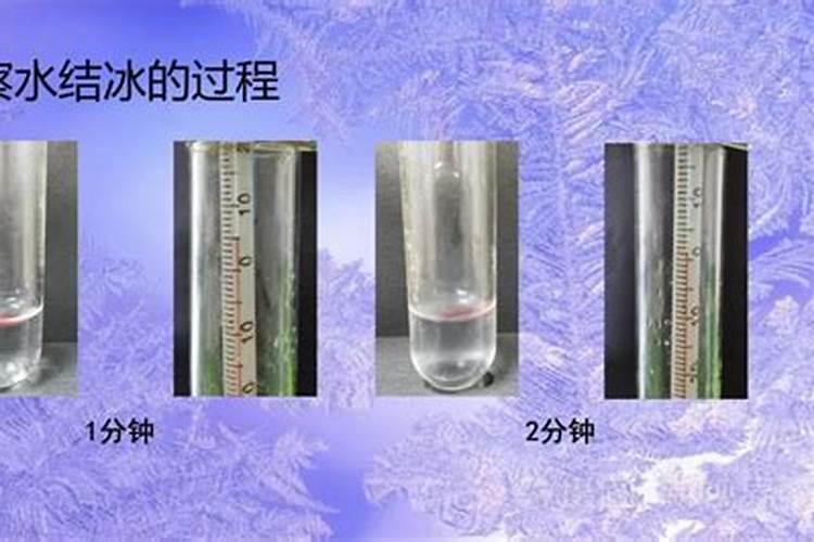 草莓开花了可以施什么肥