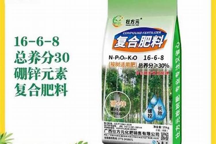 桉树需要施肥吗？