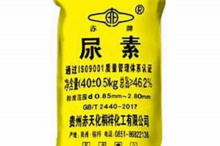 冬天绿萝如何浇水 冬天绿萝怎么浇水