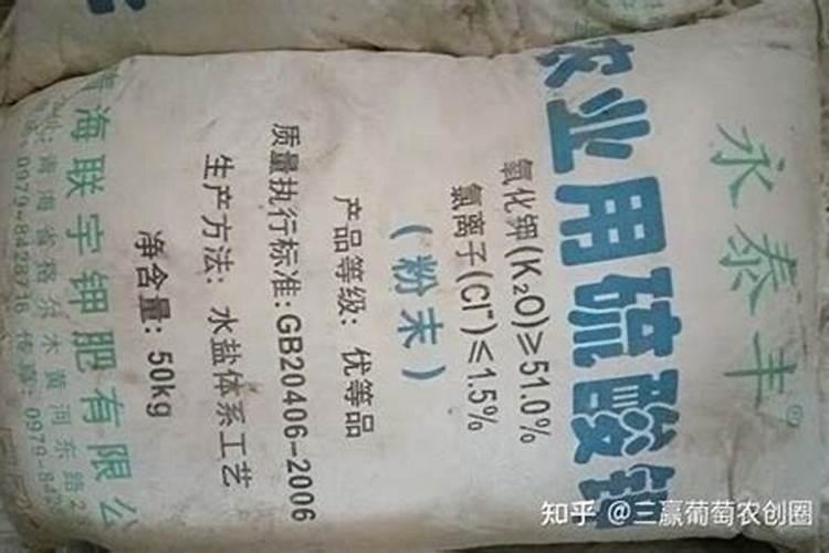 哪种钾肥最好(市面上常见都最好的钾肥是什么钾肥)