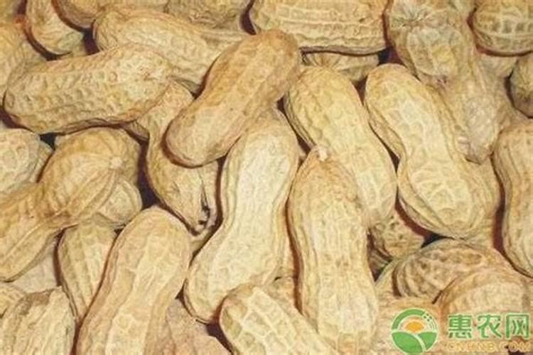 樱桃树施什么肥最好