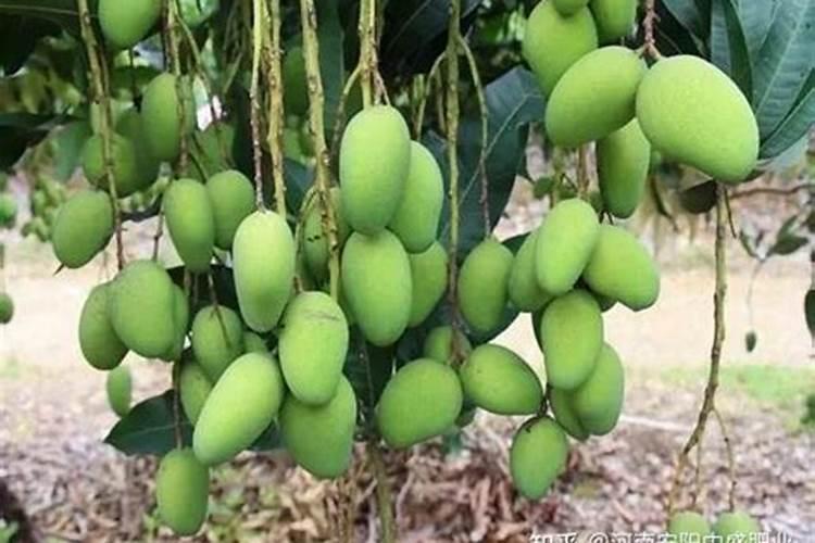 怎么用复合肥配比高钾肥料