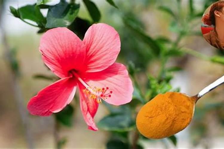 磷钾肥的自制方法