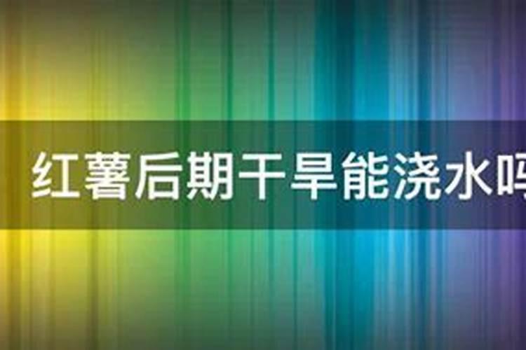 红薯的施肥方法,用什么肥料合适
