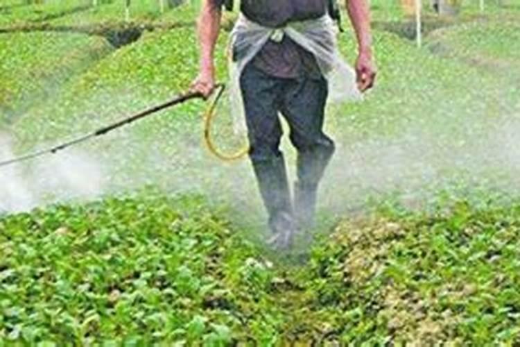 腐植酸钠的作用及功能 养生必知