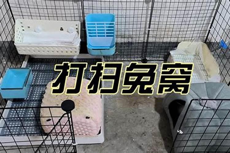 硝酸磷肥和硝铵磷肥哪个贵