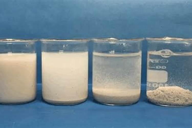 青果的功效与作用及禁忌 青果的功效与作用及禁忌有哪些