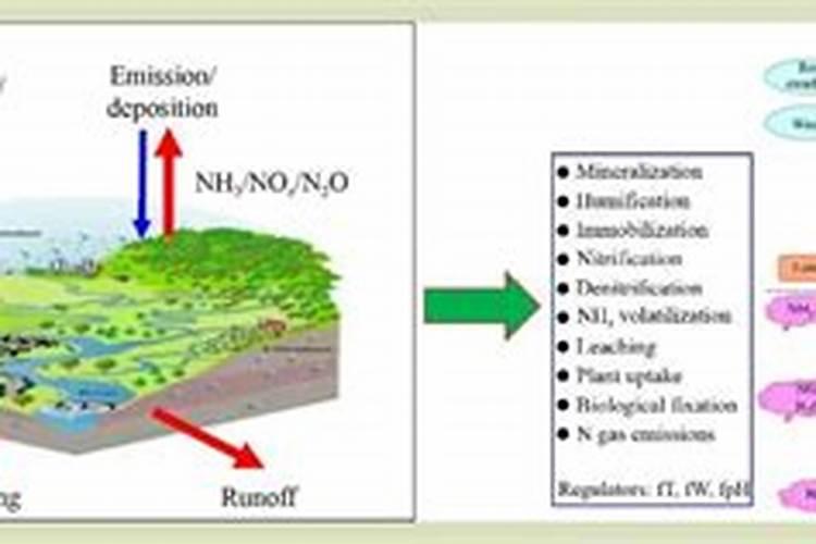 百泰能和哪些药混用