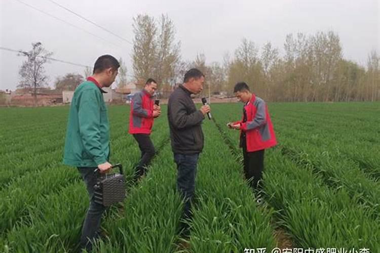 尿素施肥后多久见效 尿素的肥效期是多少天
